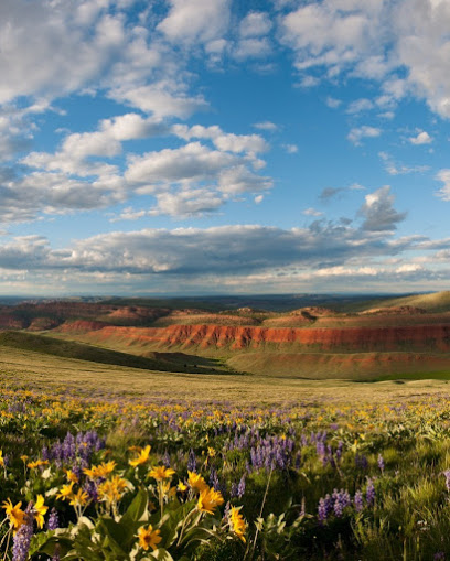 High Country Hearing Centers